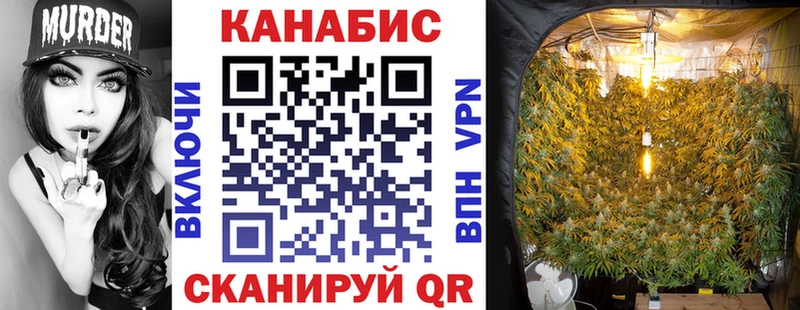 Какие есть наркотики Тында А ПВП  Cocaine  Меф мяу мяу  omg онион  ГАШИШ  Канабис  АМФ 