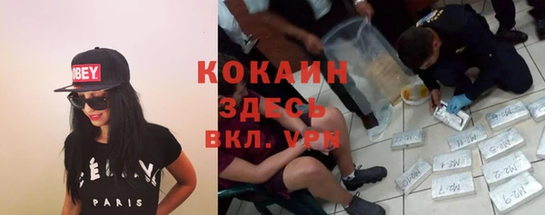тгк Белокуриха