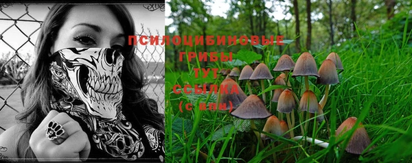тгк Белокуриха