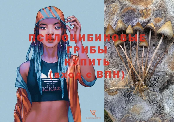 тгк Белокуриха