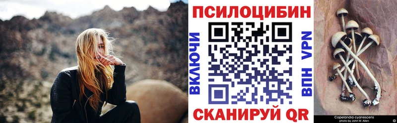 Галлюциногенные грибы MAGIC MUSHROOMS где купить наркоту Тында