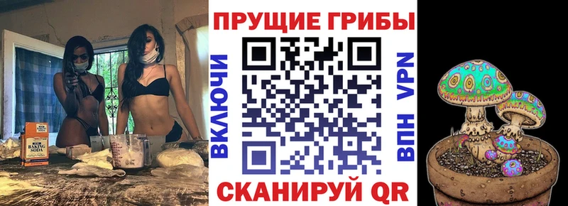 Псилоцибиновые грибы мухоморы Тында
